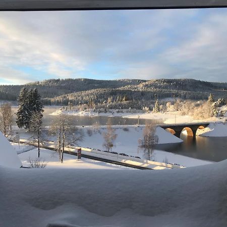 Appartement Sunset, 28Qm Schluchsee Exterior foto